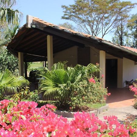 Posada San Miguel Paraguari Extérieur photo